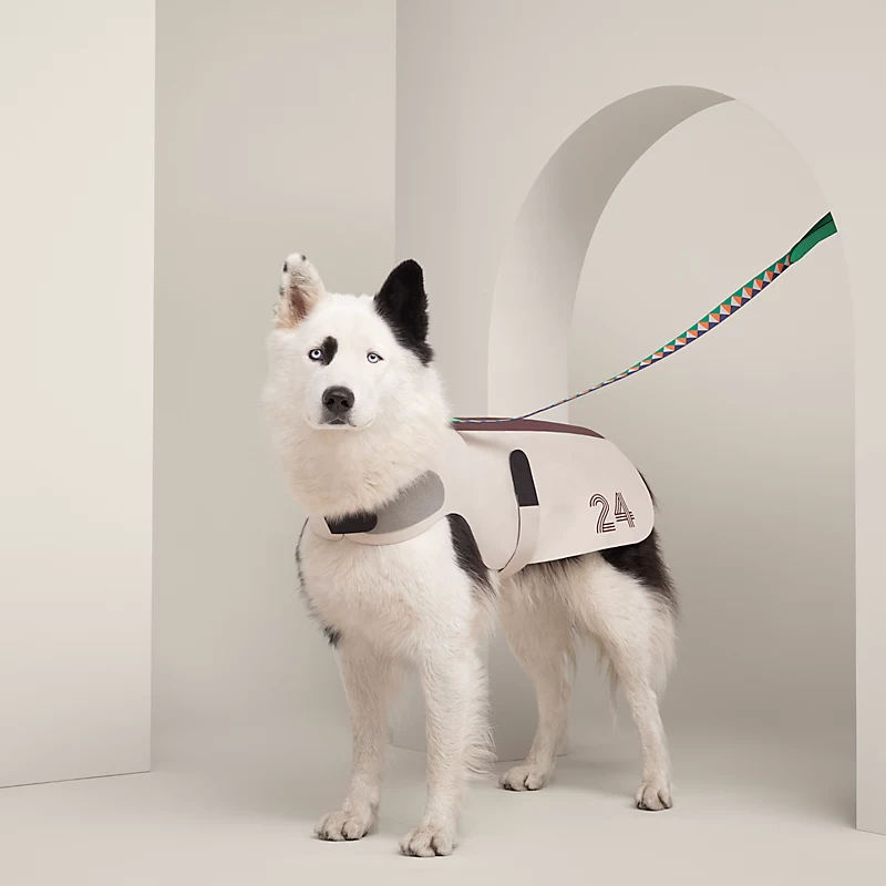 Pet textiles collection